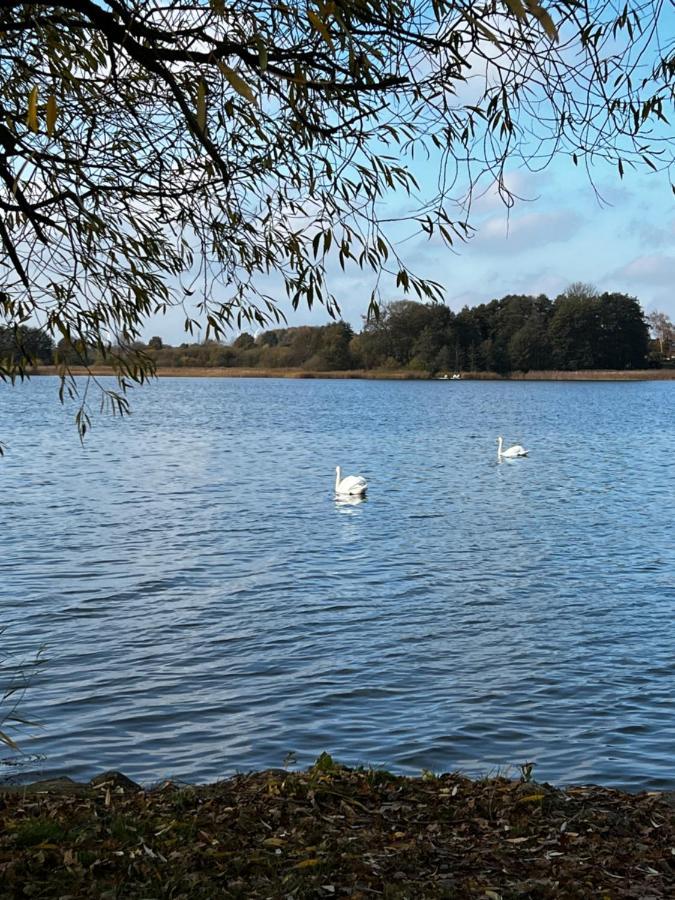 Sweet App Am See Ponitz am See Exterior foto